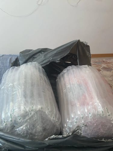 Customer photo review of [NEW] Spidey Gear™ - Gwen Stacy Light Up Masks