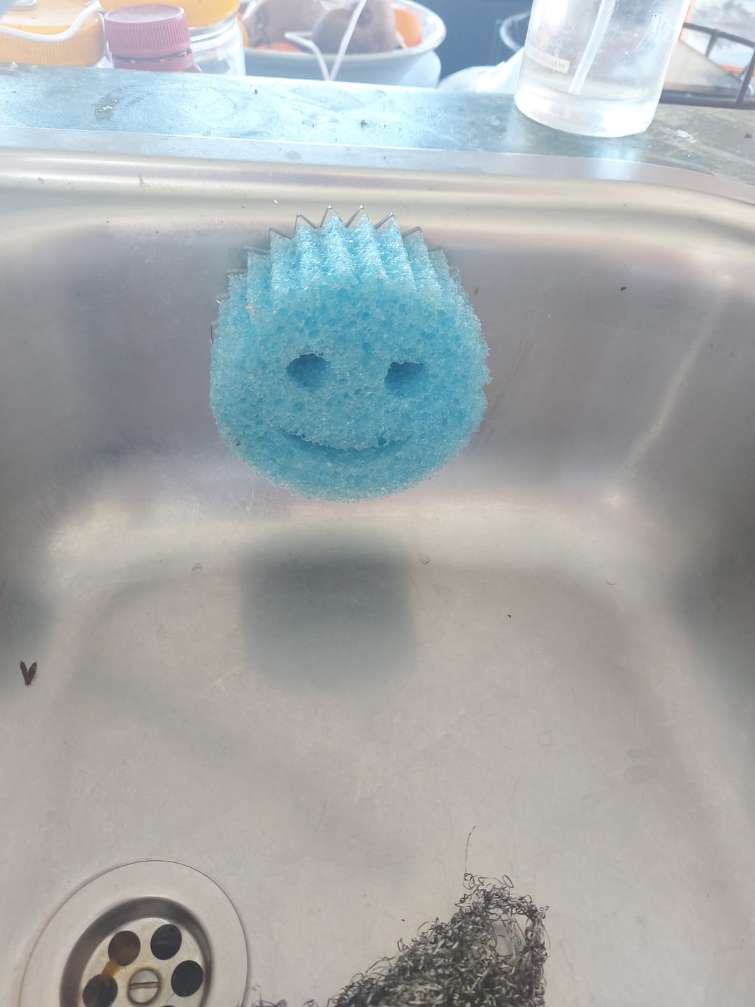 Customer photo review of Scrub Daddy Caddy