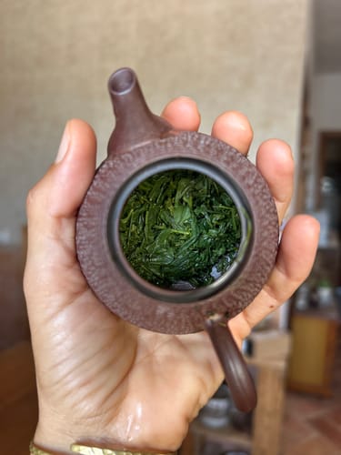 Customer photo review of Matcha Tea Sampler (21 pack)
