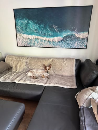 Customer photo review of ASSICURAZIONE PACCO
