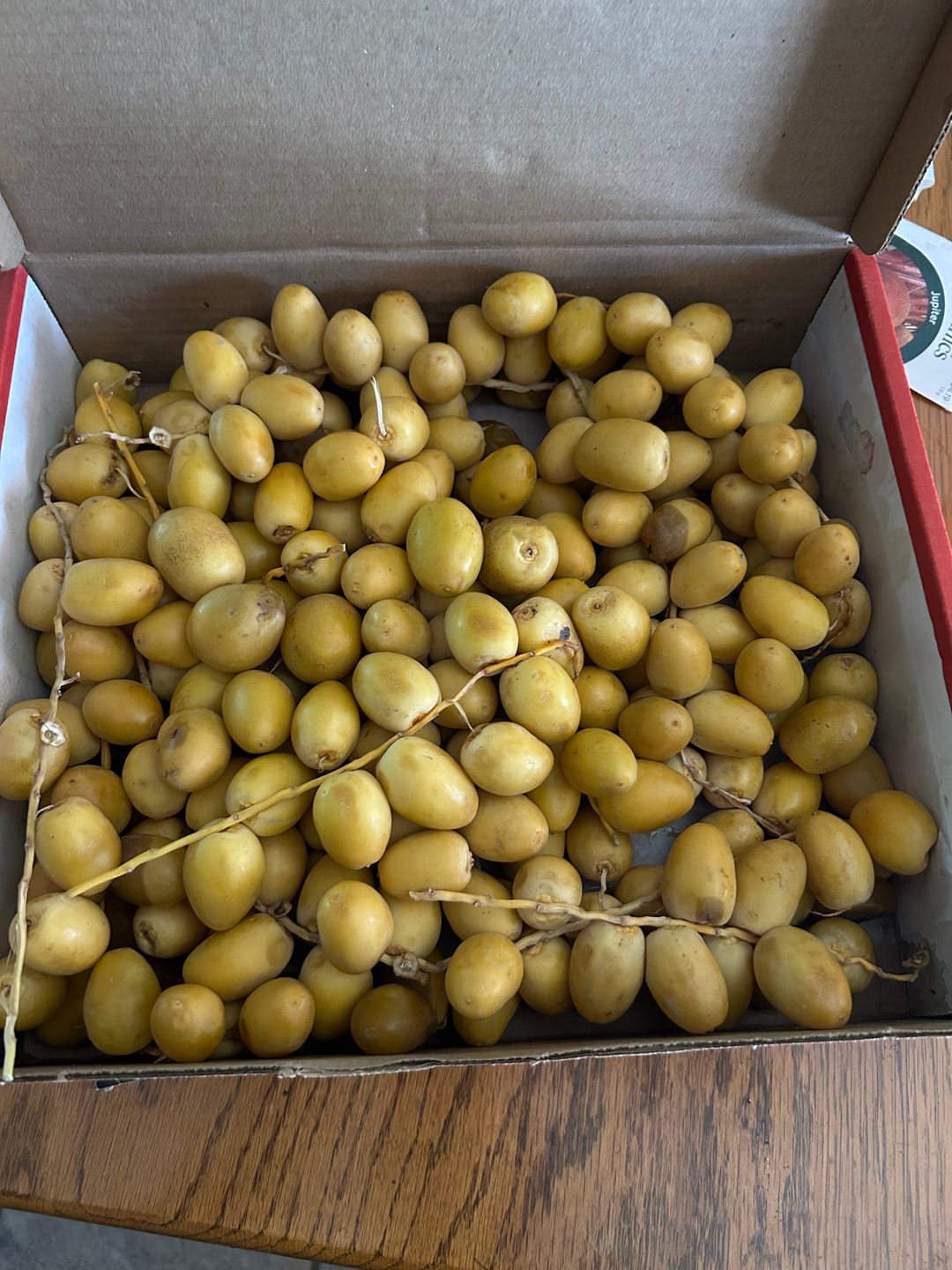 Customer photo review of Yellow Barhi Dates - Khalal Stage