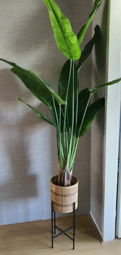 Customer photo review of Eucalyptus Kunstplant 175cm