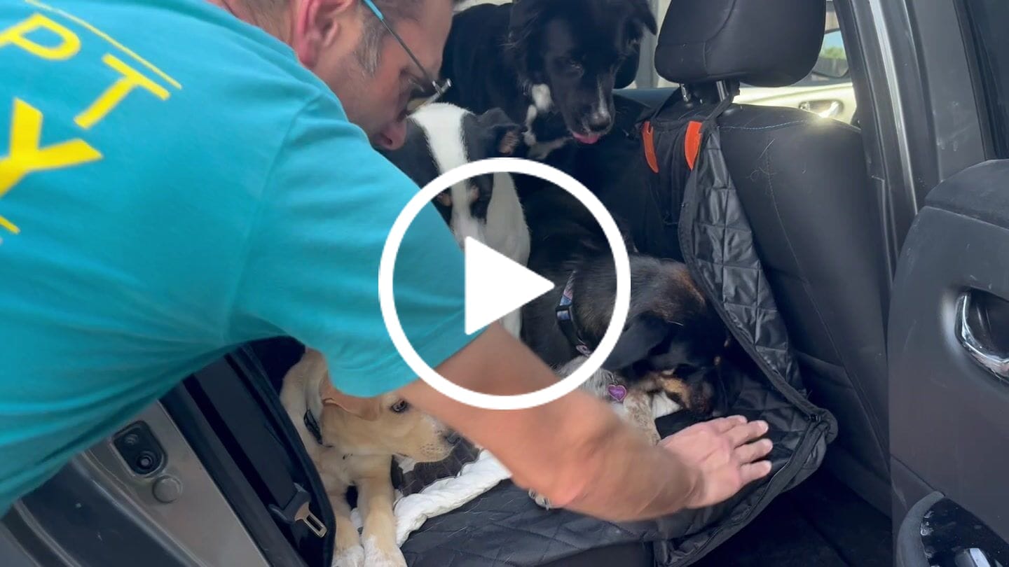 Customer video review of CozyRider™