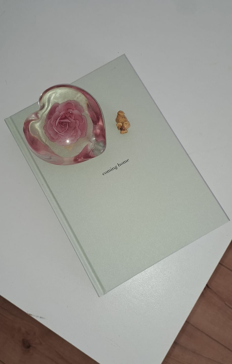 Customer photo review of "coming home" Journal