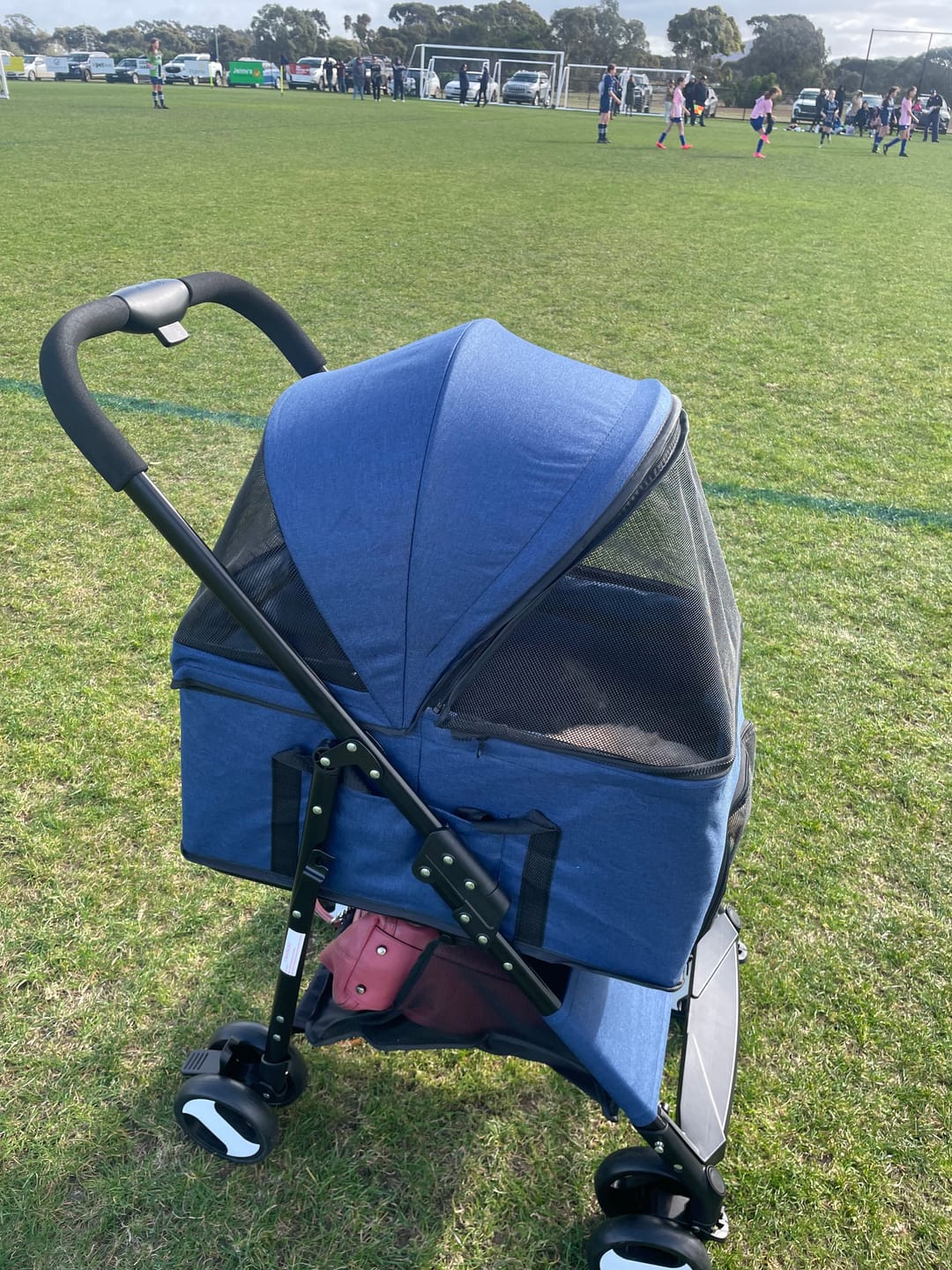 Customer photo review of PaWz Pet Dog Stroller Pram 4 Wheels