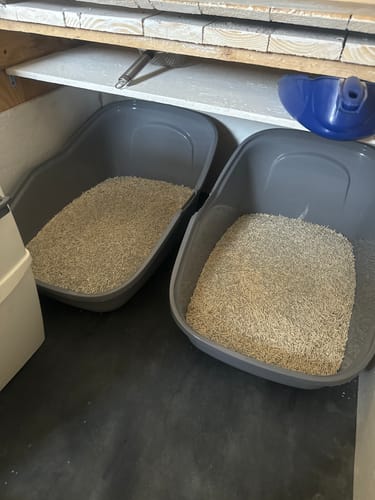 Customer photo review of Naturreines Katzenstreu