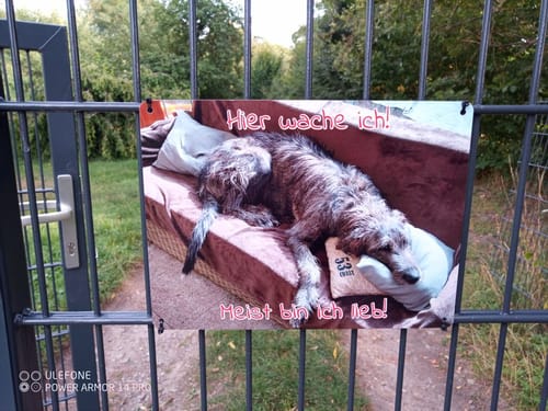 Customer photo review of Hunde-Türschild personalisiert mit Foto & Text (UV- und wetterfest)