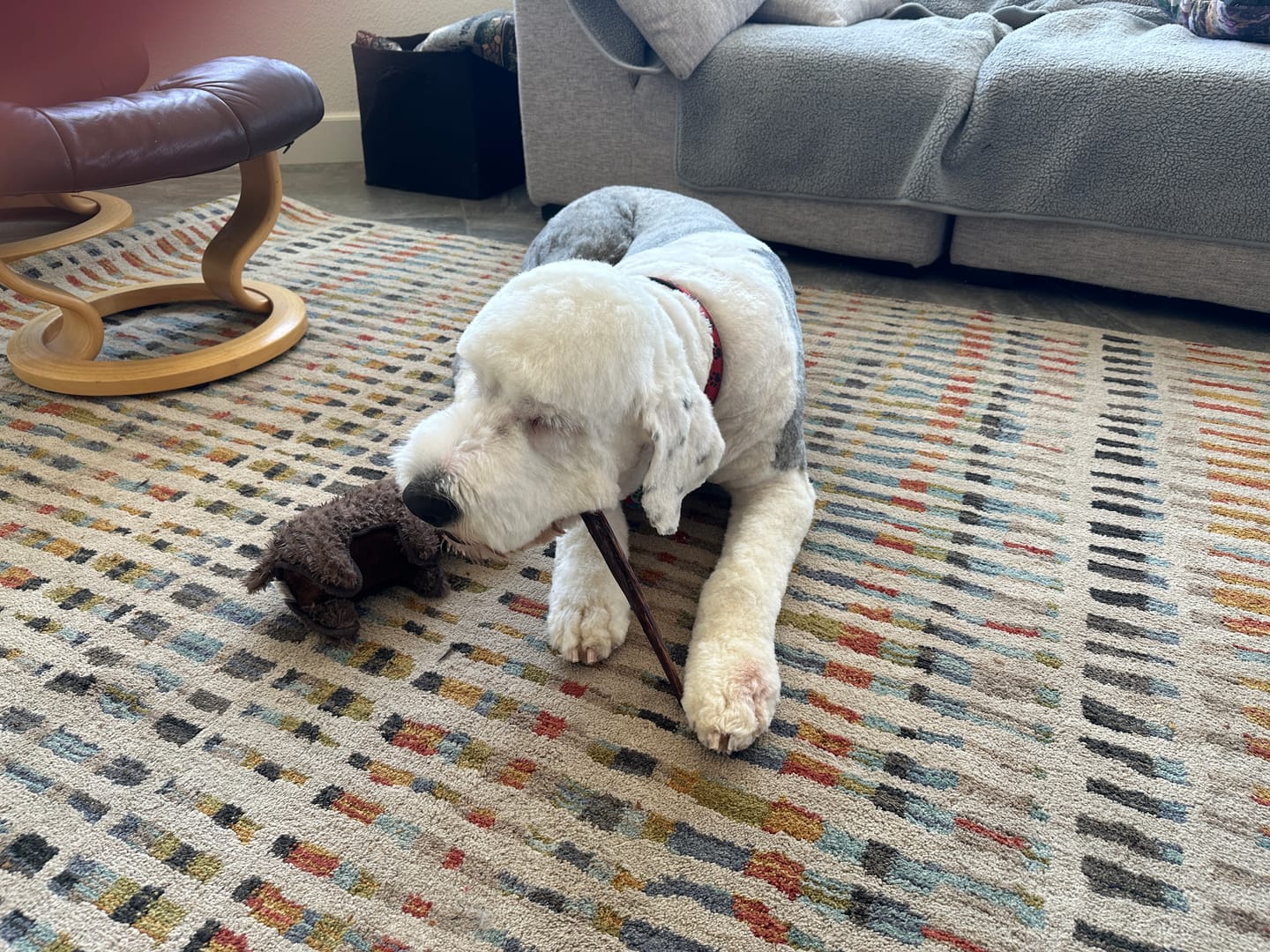 Customer photo review of 12 Inch Beef Jerky Stick