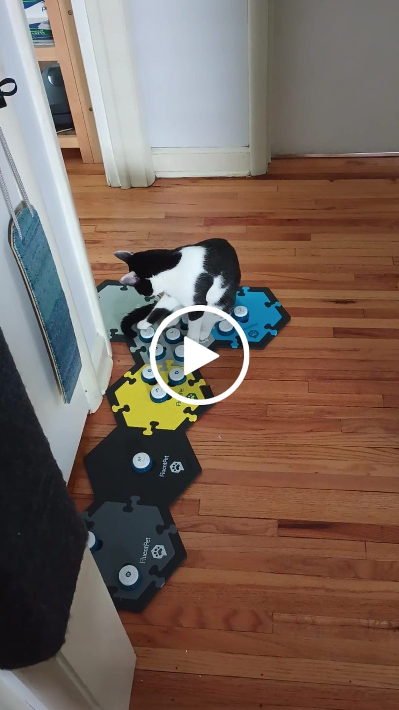 Customer video review of HexTile Multipacks