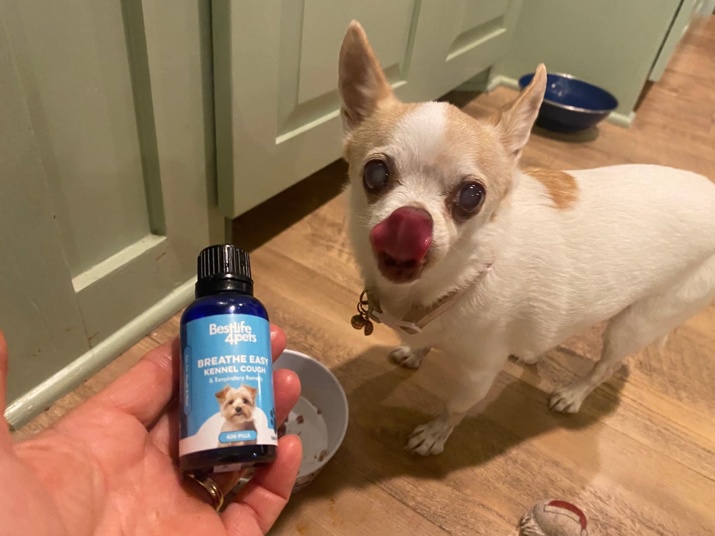 Customer photo review of Breathe Easy for Dogs - Kennel Cough & Respiratory Support Remedy