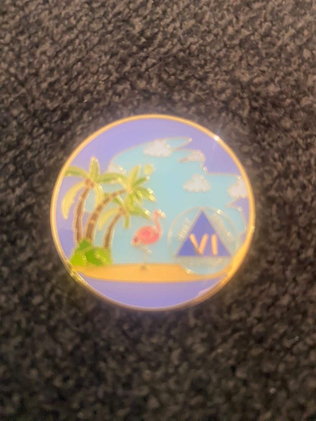 Customer photo review of 1 to 60 Year Beach Themed Specialty AA Recovery Medallion - Tri-Plated Chip/Coin