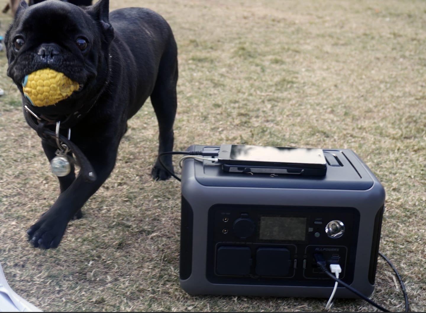 Customer photo review of ALLPOWERS R600 Portable Power Station | 299Wh 600W