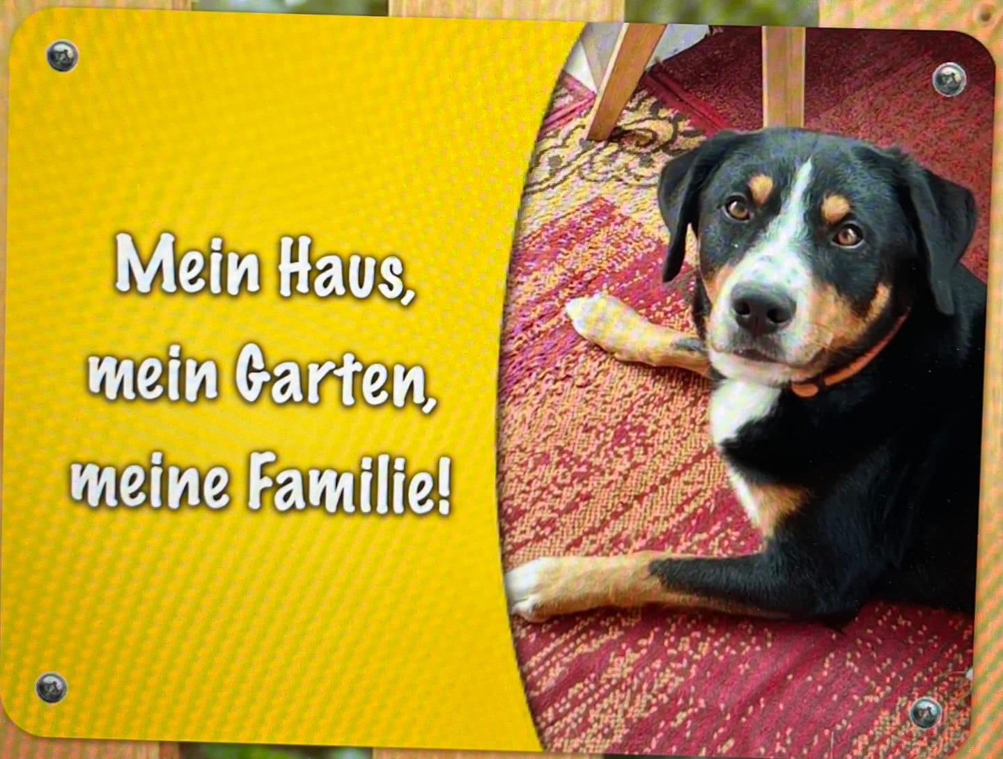 Customer photo review of Hunde-Türschild mit Foto & Wunschtext (UV- UND WETTERFEST) - Angebot beim Kauf eines 2. Schildes