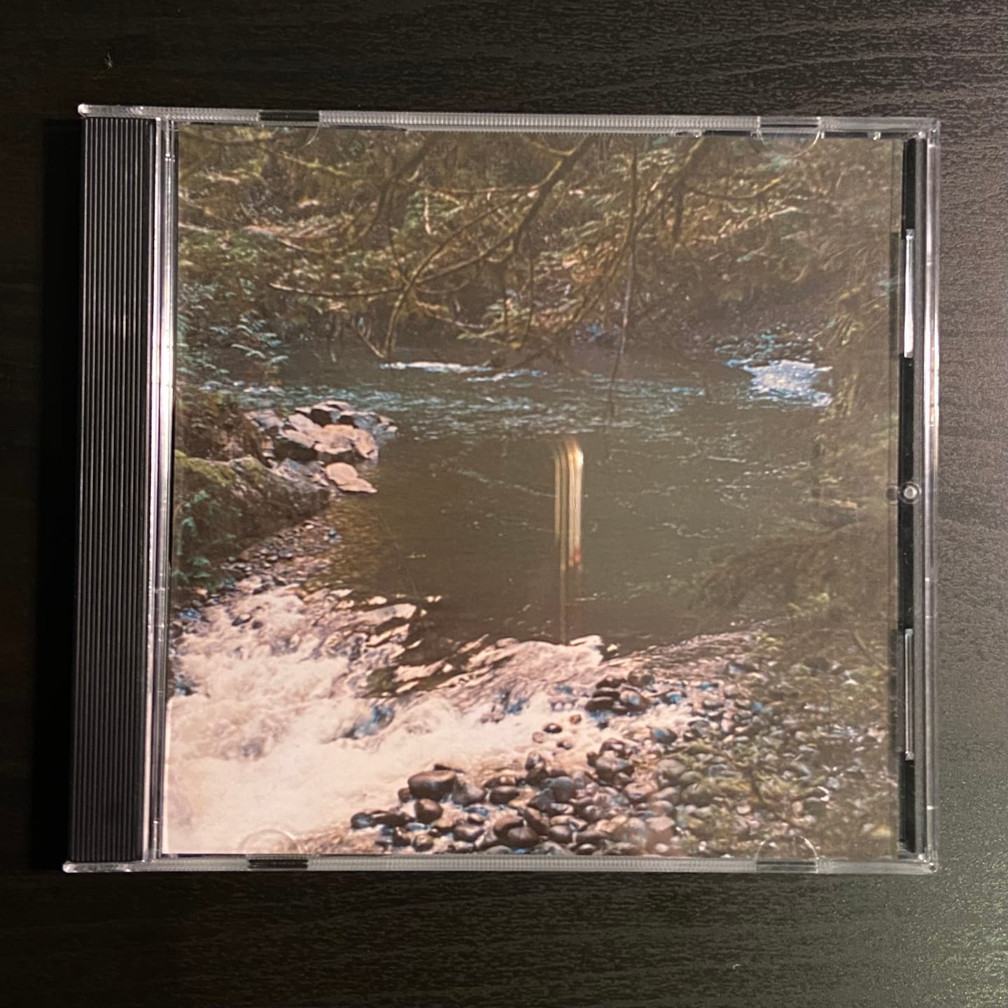 Customer photo review of CD Jewel Cases with 1-Panel Inserts