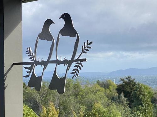 Customer photo review of Kererū Pair