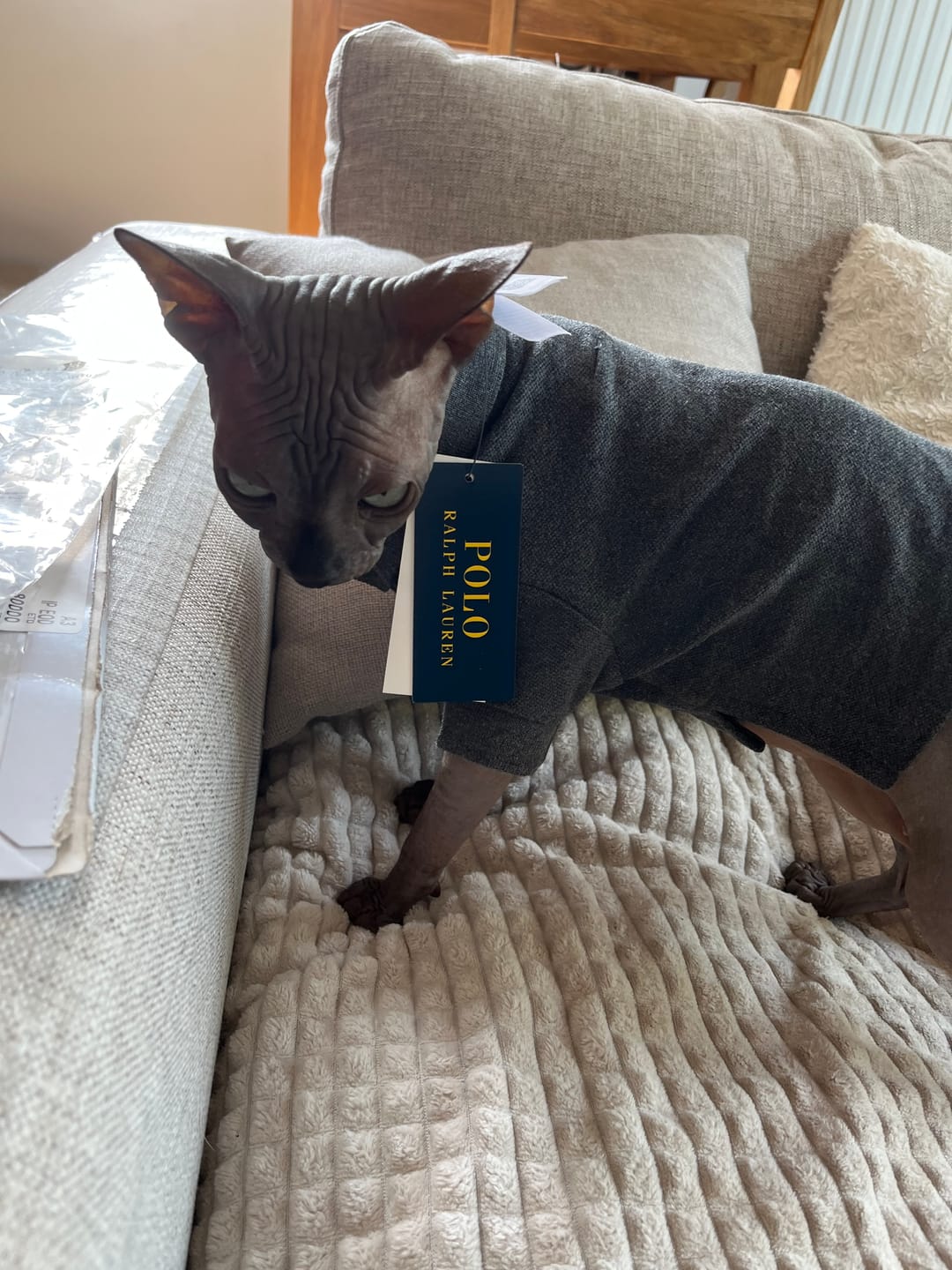 Customer photo review of Polo Ralph Lauren Cotton-Mesh Dog Polo Shirt