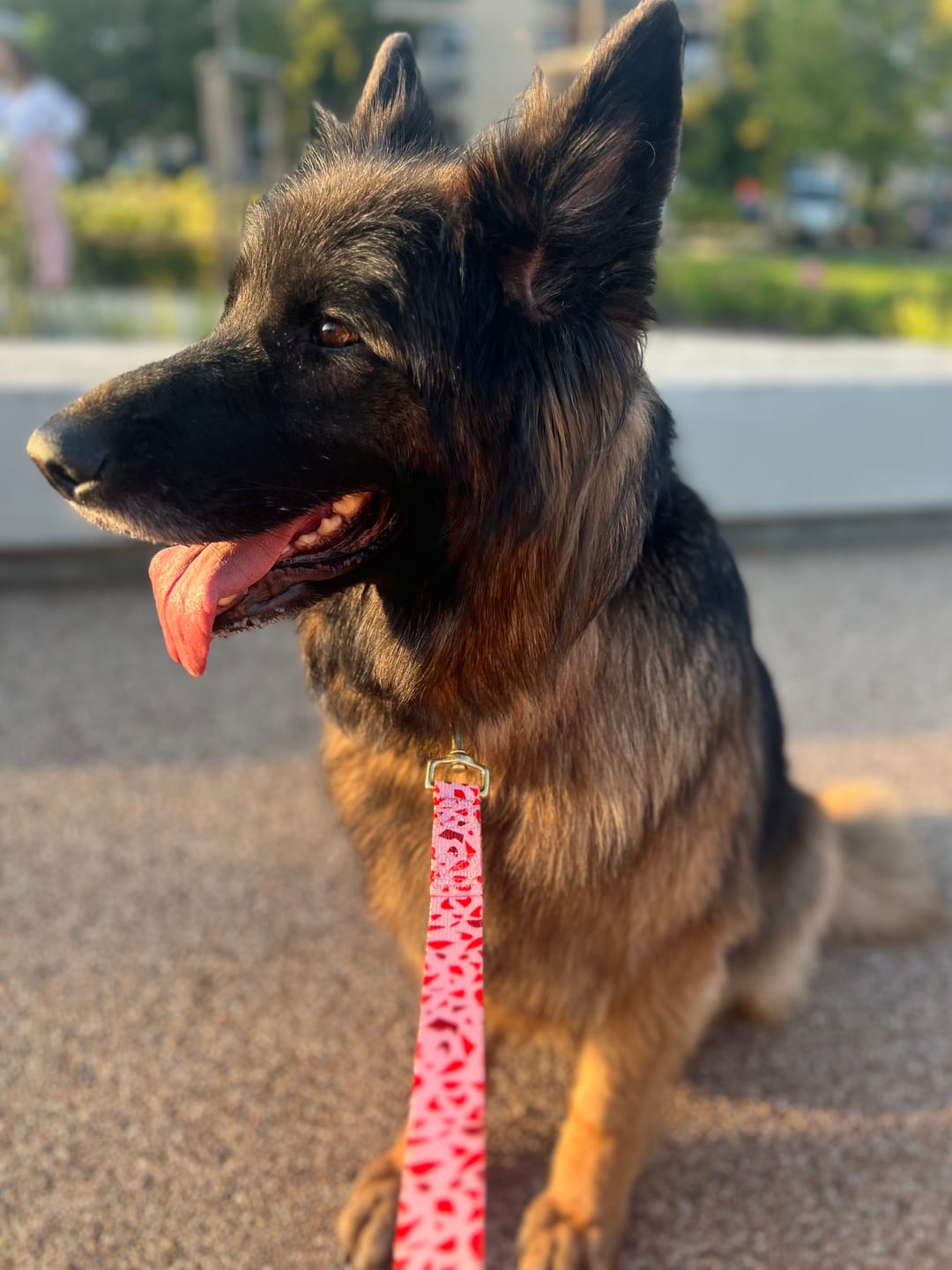Customer photo review of Smycz miejska "Pink Terrazzo" - złote okucia