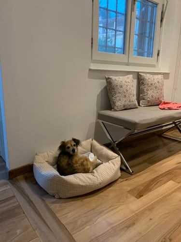 Customer photo review of Divanetto Vichy Beige