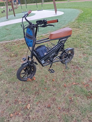 Customer photo review of Windgoo F1 Hybrid - Bruin