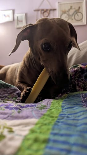 Customer photo review of MIX FLAVORED (Strawberry, Banana, Pumpkin, & Blueberry): A PACK OF 4 STICKS