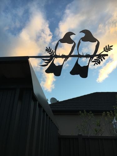 Customer photo review of Kererū Pair