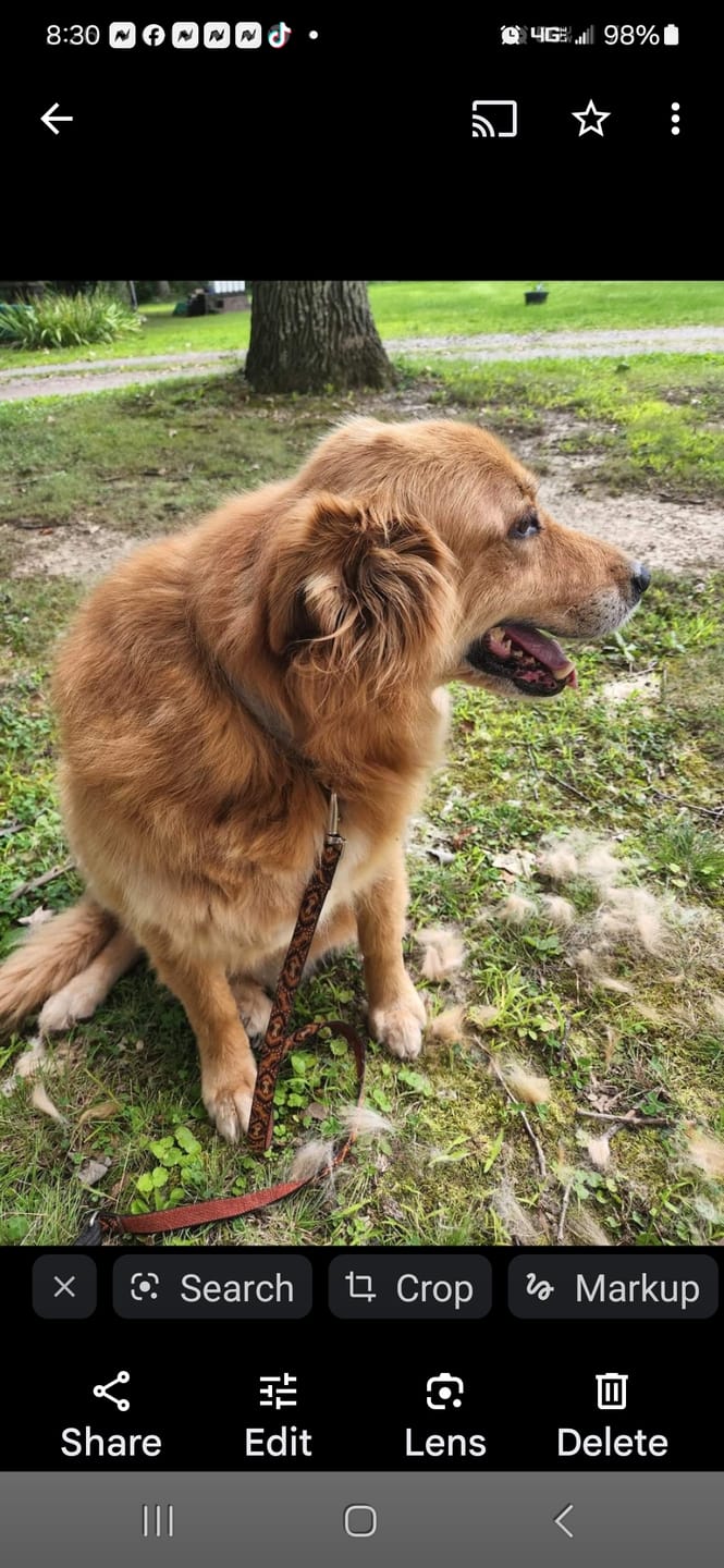 Customer photo review of Carrying Case for furMe Grooming Vacuum