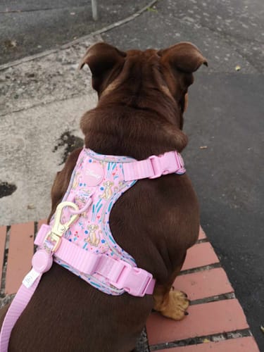 Customer photo review of Disney© Tough Trails™ Harness - Nala