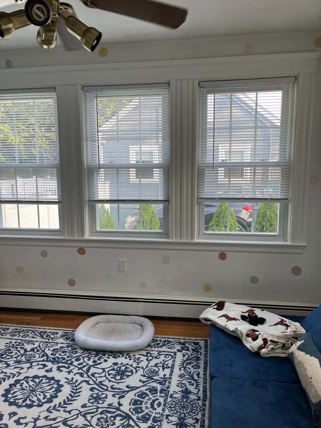 Customer photo review of Neutral Dots