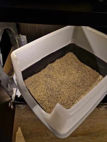 Customer photo review of Naturreines Katzenstreu