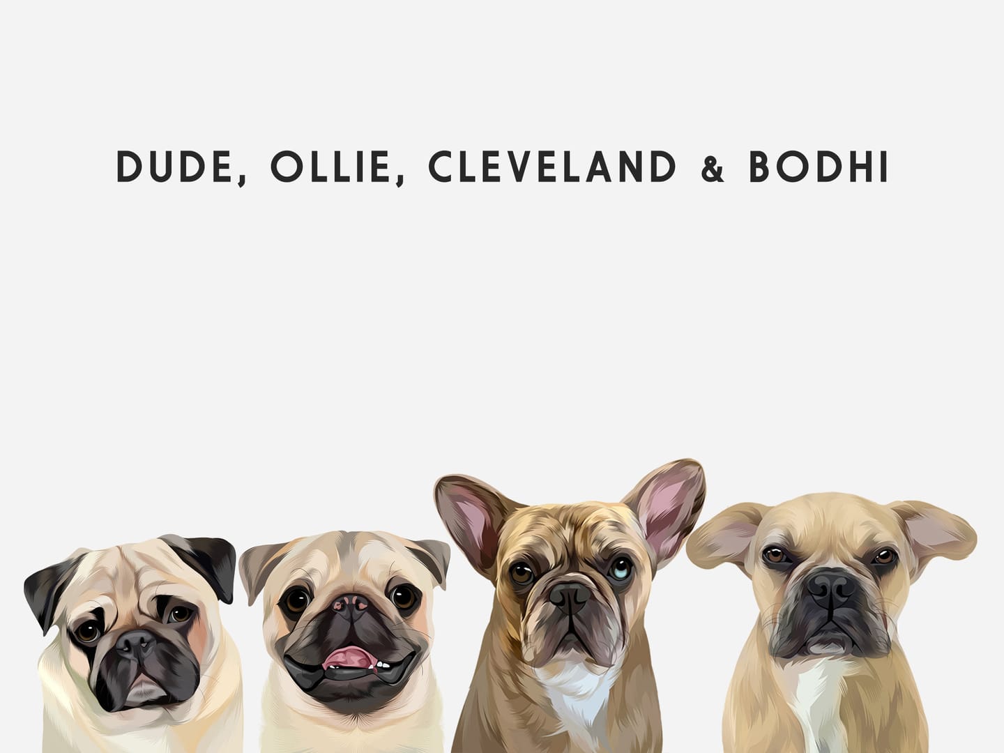 Customer photo review of Custom Four Pet Portrait