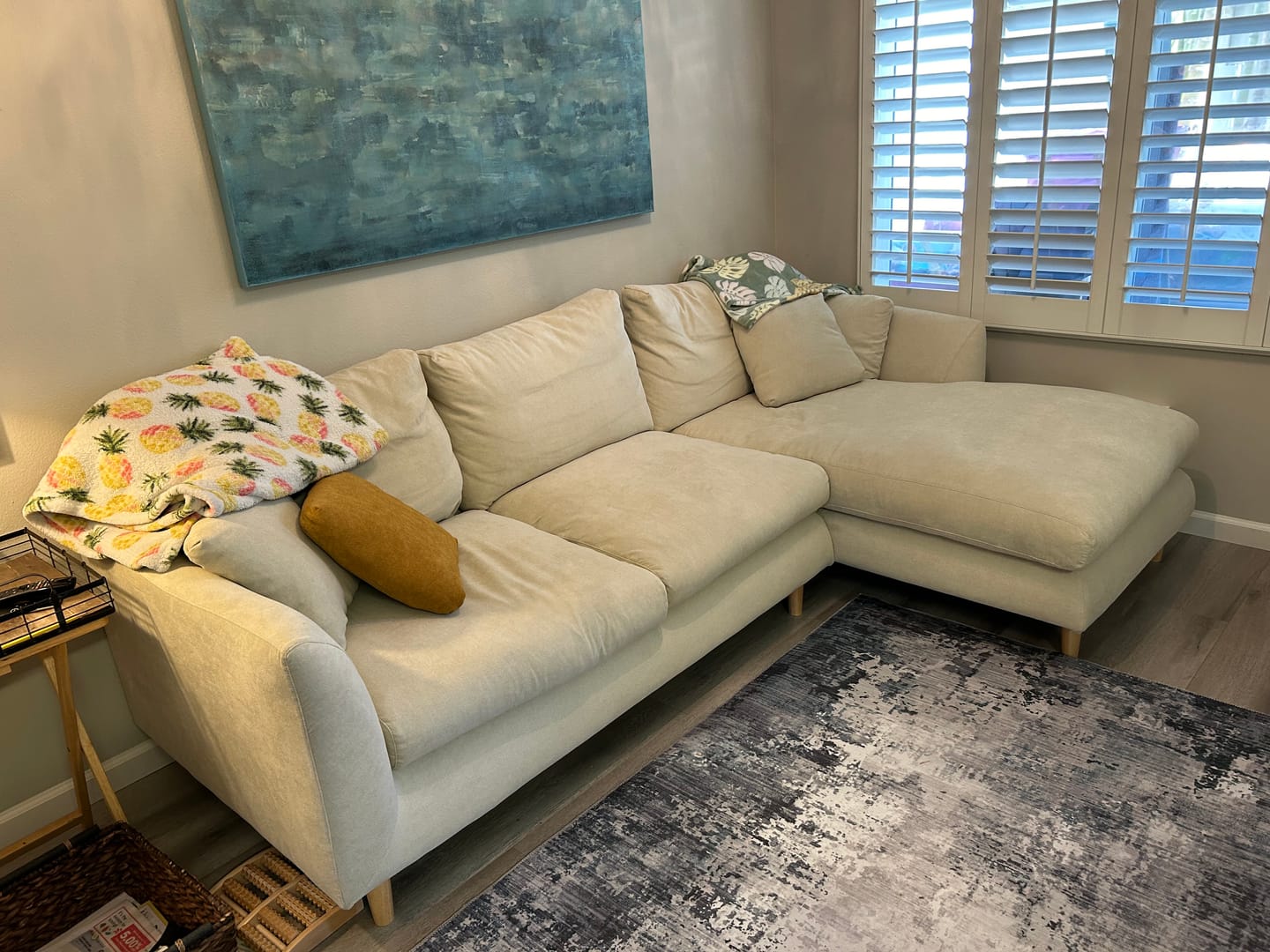 Customer photo review of Feathers Sectional