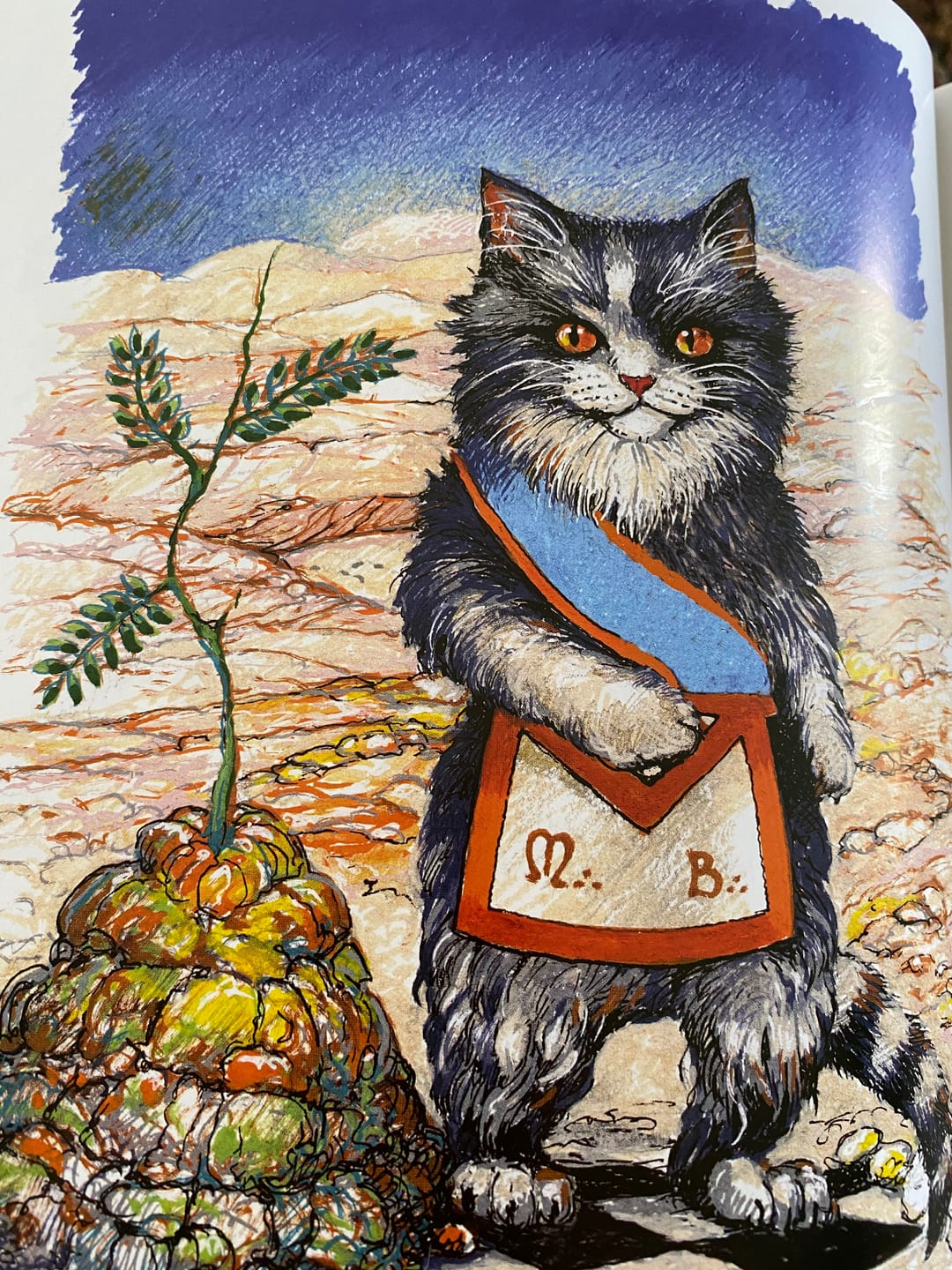 Customer photo review of Tablier Maître MB Équerre Compas REAA