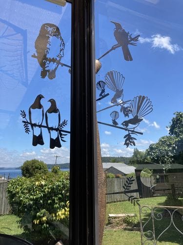 Customer photo review of Kererū Pair