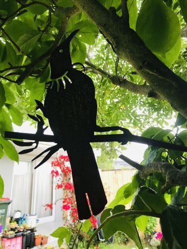Customer photo review of Tūī