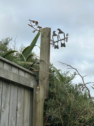 Customer photo review of Kererū Pair
