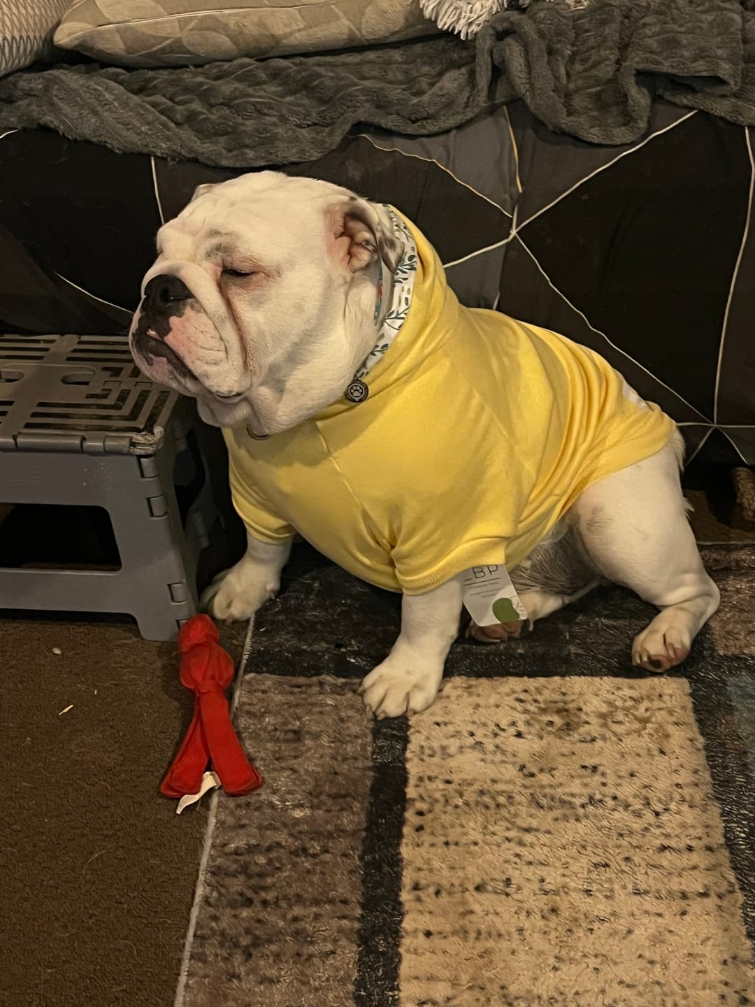 Customer photo review of Hoodie - Henry - Lemon
