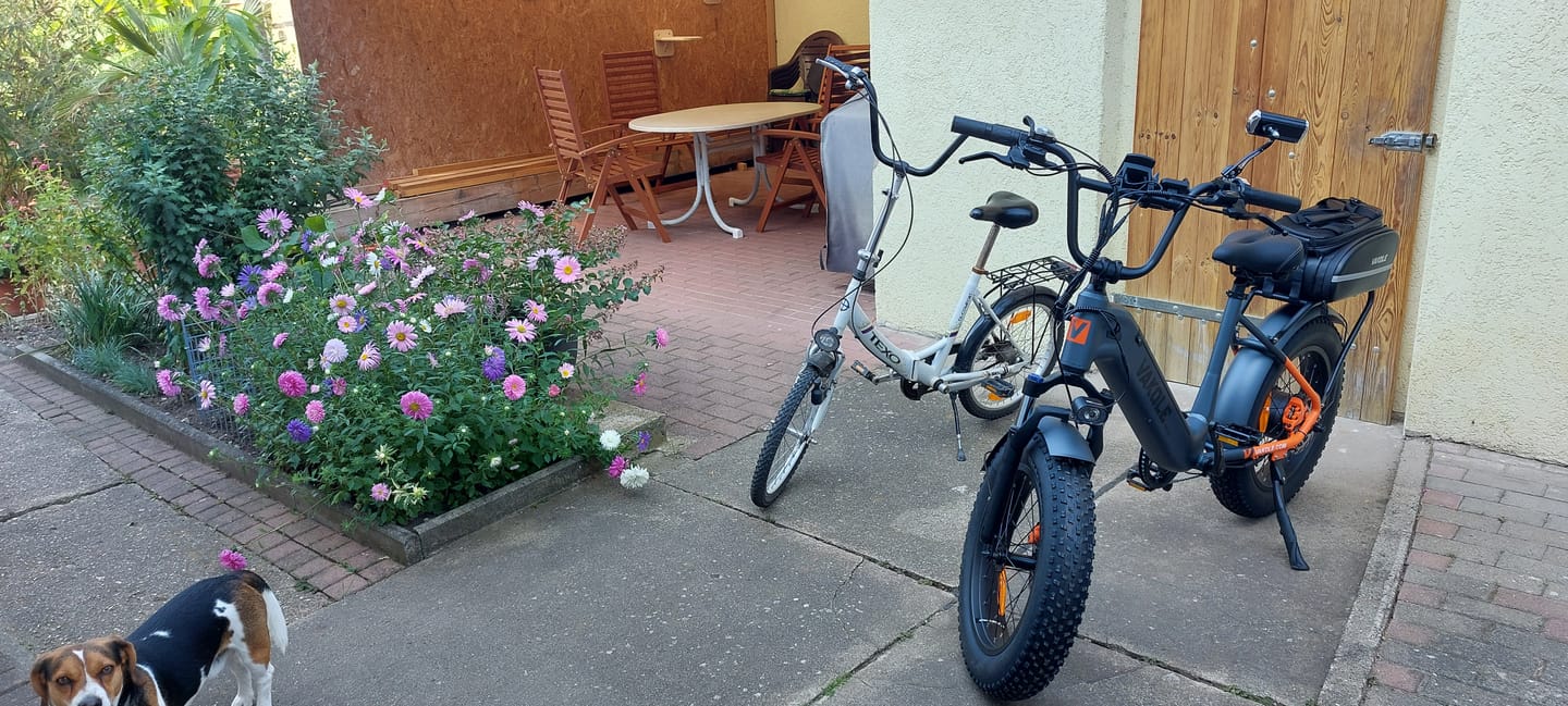Customer photo review of Vakole SG20 Upgraded Version 250W 20" Fat Bike Electric Trekking Bike 48V 15.6Ah Samsung Battery