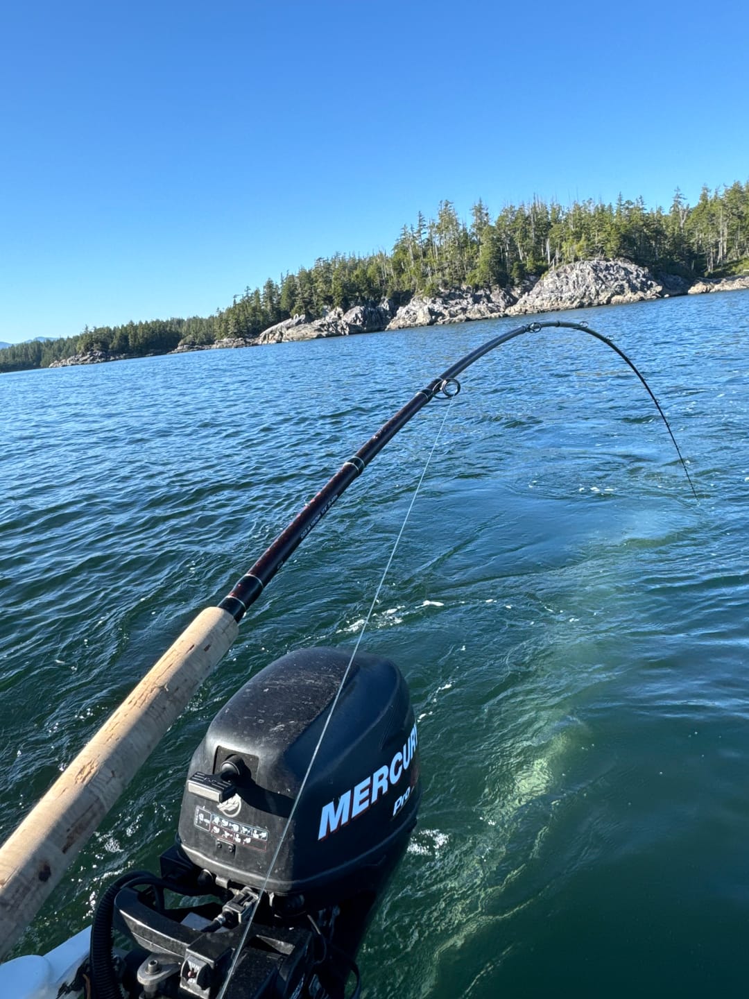 Customer photo review of Guide Series Mooching Rod
