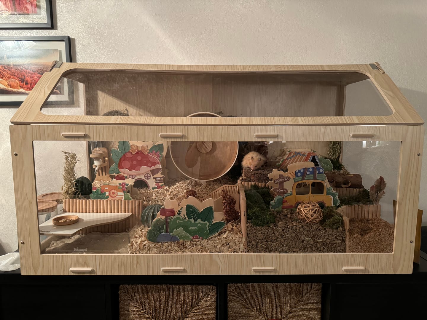 Customer photo review of Niteangel Vista Hamster Cage W/ Oblique Opening - MDF Aspen Small Animal Cage for Syrian Dwarf Hamsters Degus Mice or Other Similar-Sized Pets