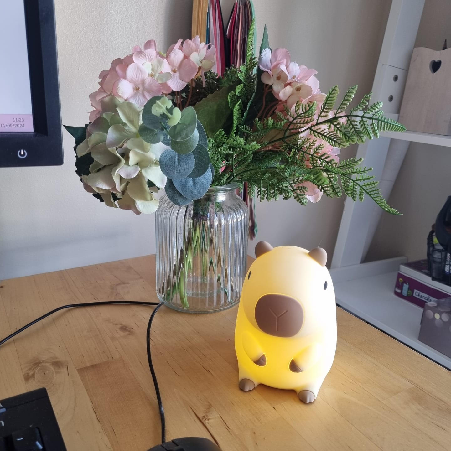 Customer photo review of MeWaii® Capybara Squishy Night Light - Perfect Gift 🎁