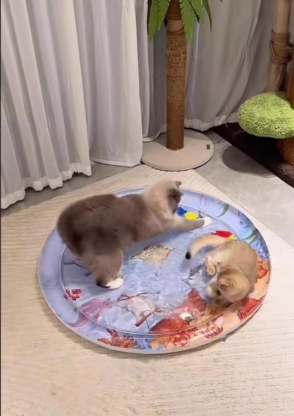 Customer photo review of [Special Sale] Upgraded Thickness Pet Cooling Water Bed