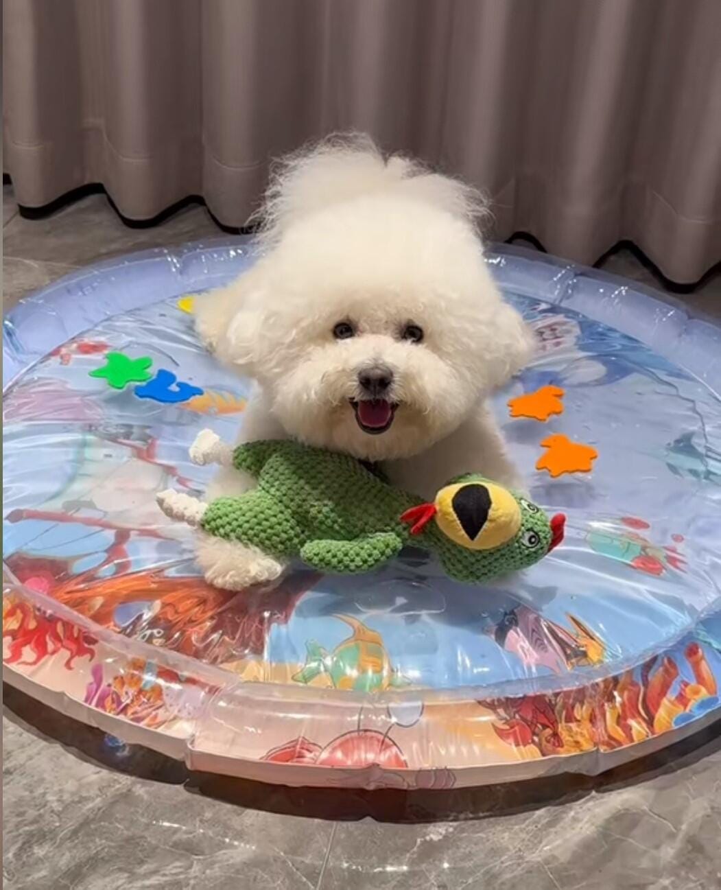 Customer photo review of [Special Sale] Upgraded Thickness Pet Cooling Water Bed