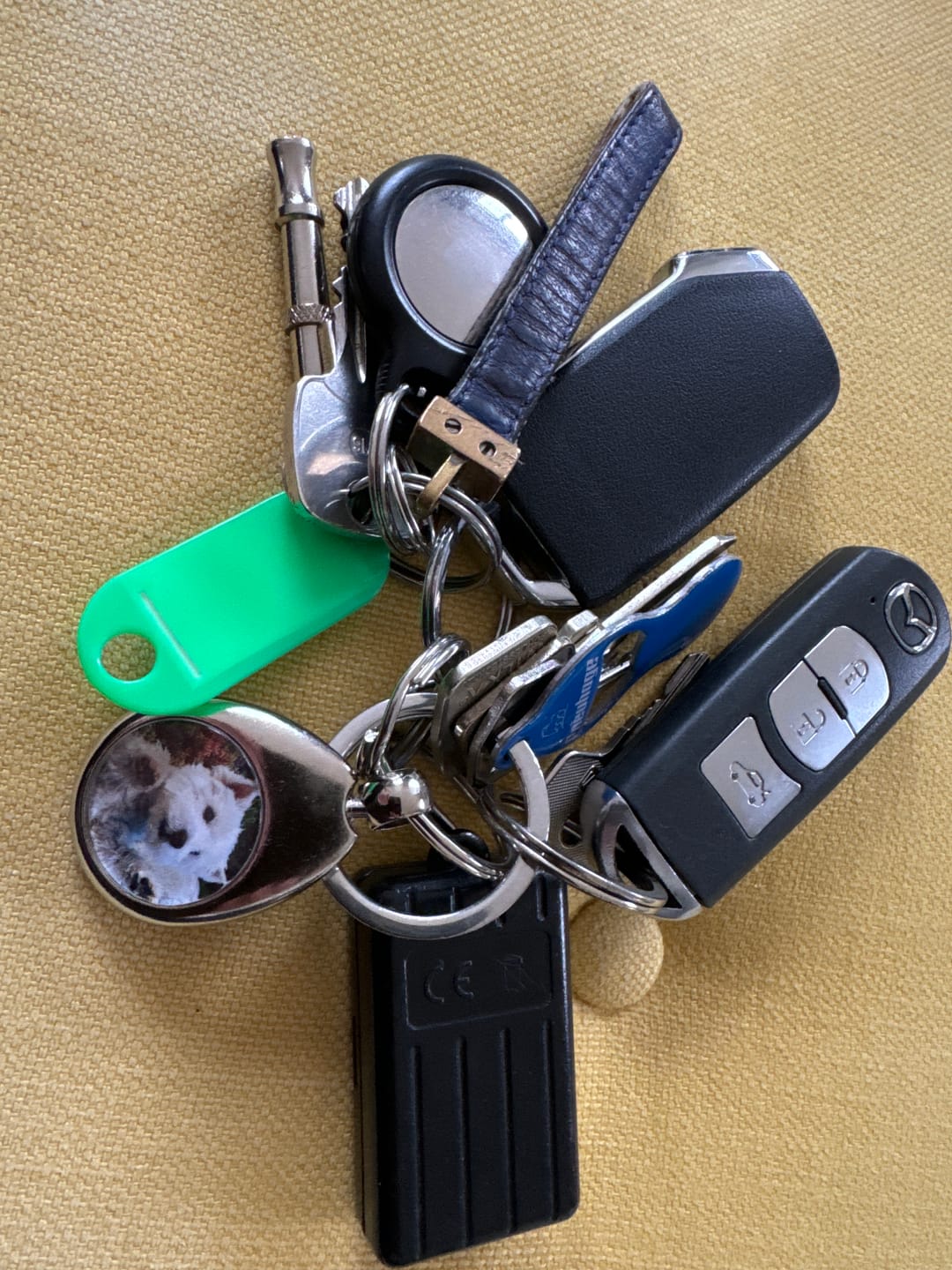 Customer photo review of Schlüsselanhänger mit Hundefoto