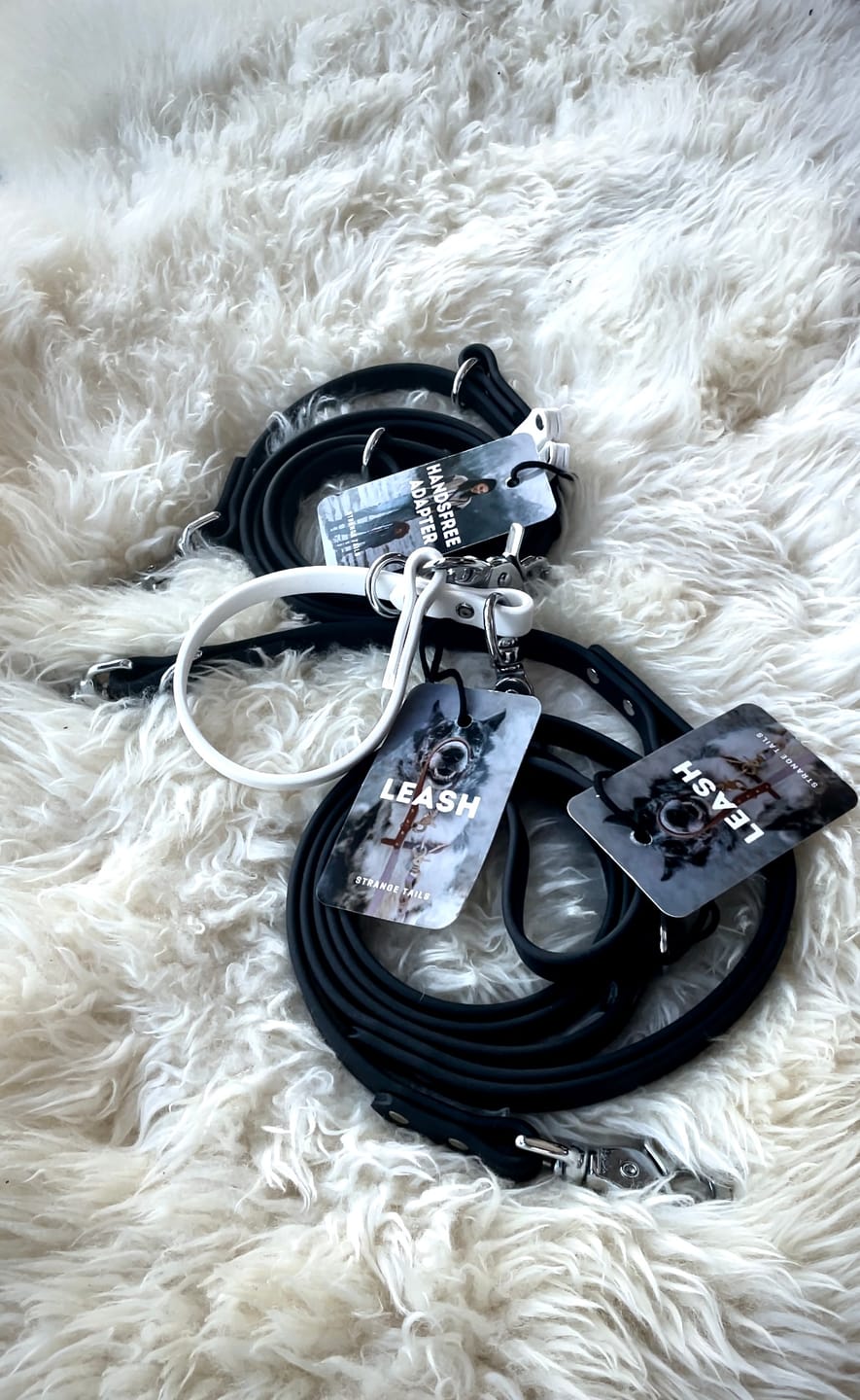 Customer photo review of Hands-Free Leash Adapter