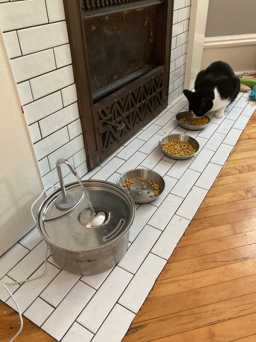 Customer photo review of Royal Canin Veterinary Diet - Urinary SO + Hydrolyzed Protein Dry Cat Food