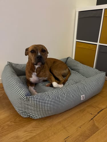 Customer photo review of Divanetto Vichy Verde Scuro