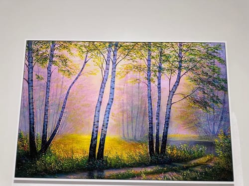 Customer photo review of Light in the Birch Forest