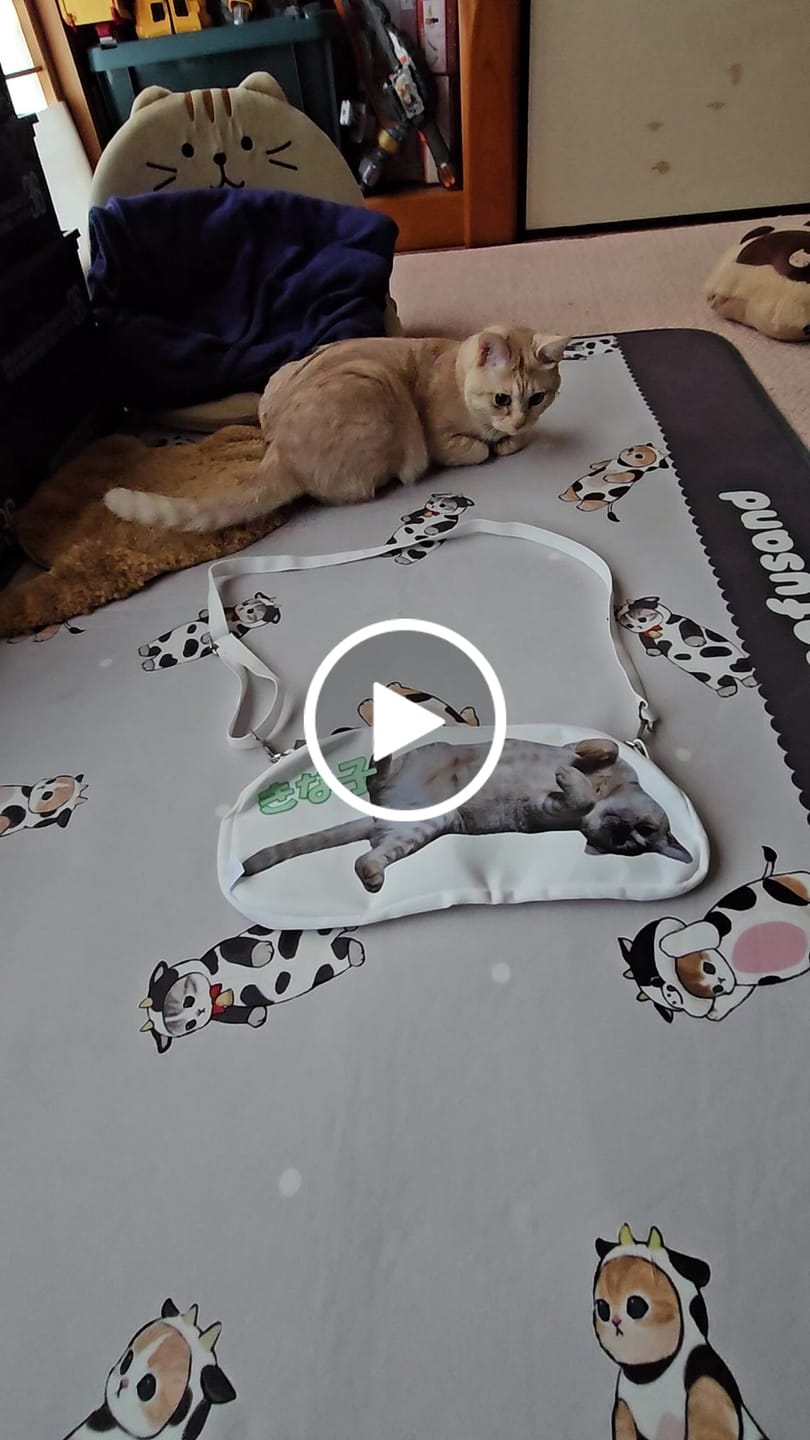 Customer video review of 好きな写真で作るオーダーメイドプリントショルダーバッグ