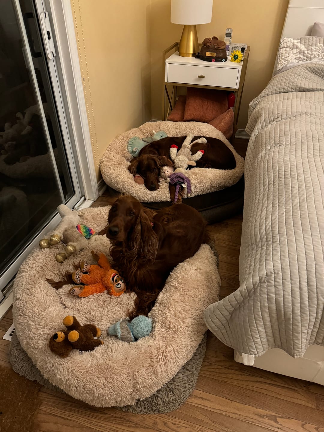 Customer photo review of Brooklyn® Deep Sleep Pet Bed