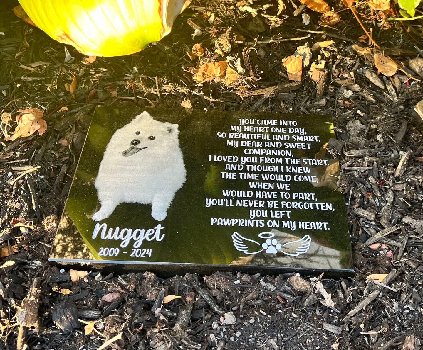 Customer photo review of Outdoor Personalized Dog Memorial Plaque You Left Paw Prints on my Heart